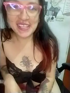_Alaskamisa webcam