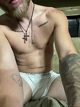 Silusgrai webcam