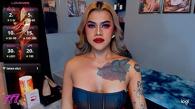 StellaStrong30 webcam