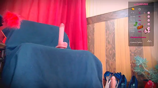 Live_View webcam