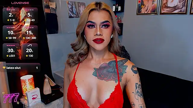 StellaStrong30 webcam