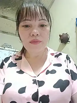 Sana-vn webcam