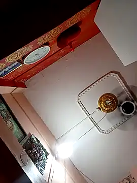 biharibabu06 webcam