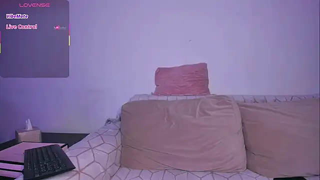 EvaFever webcam
