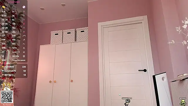 Elizwise webcam