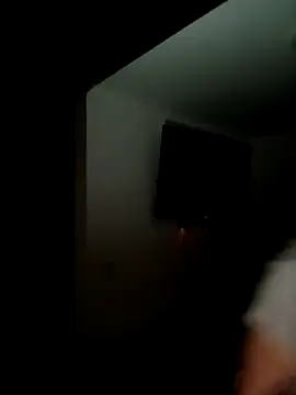 Ary- webcam
