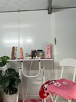 Nana-19 webcam