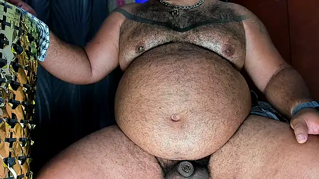 Bearspigdirty webcam