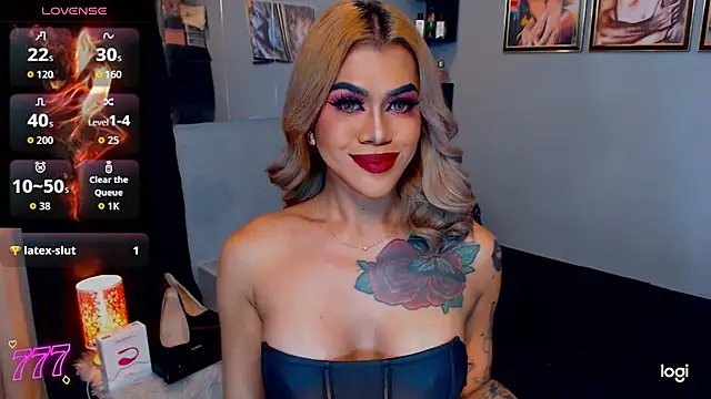 StellaStrong30 webcam