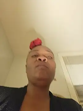 AllLeggs webcam