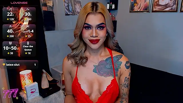 StellaStrong30 webcam