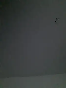 chriss13fc webcam