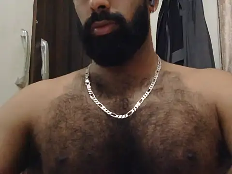 indianhairybull webcam