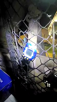 ZeldaSneakyLink webcam
