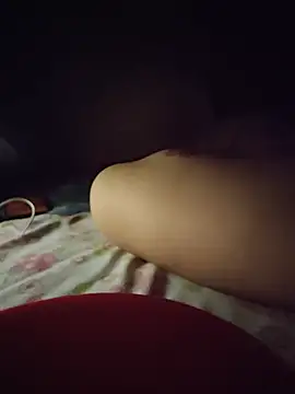 -Tara-a webcam