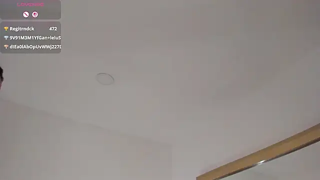 hade_miller webcam