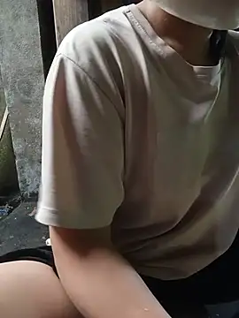 Hiha-nn webcam