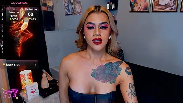 StellaStrong30 webcam