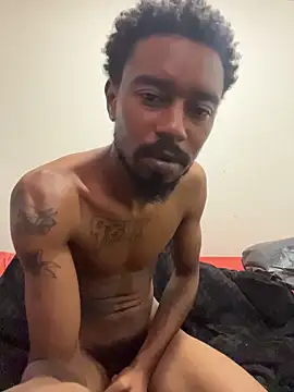 9blk webcam