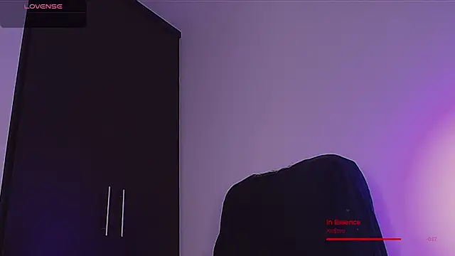 BjornSteel webcam