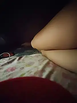 -Tara-a webcam