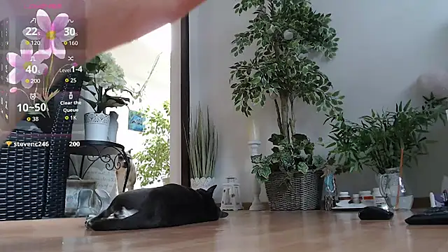Squirtmania webcam