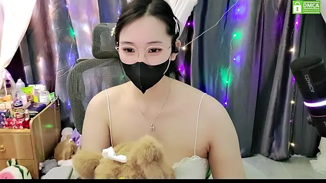 Dully_ana webcam