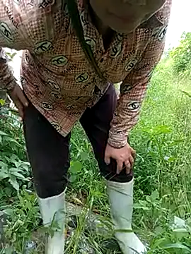 Bella-Camel webcam