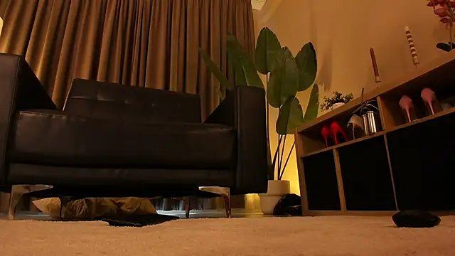 torri_kitten live cam on StripChat