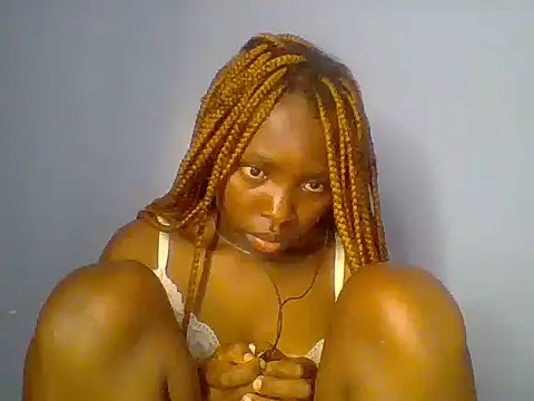 Chocolate-brownie webcam