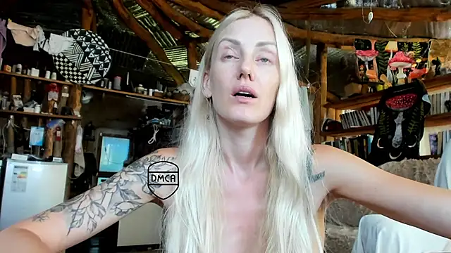 wildforestmuse_ webcam