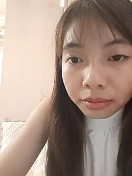 NN-833 webcam