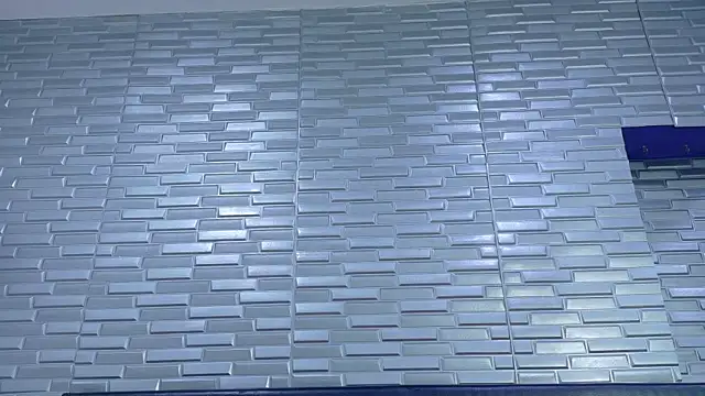 SeraphynLuxora webcam