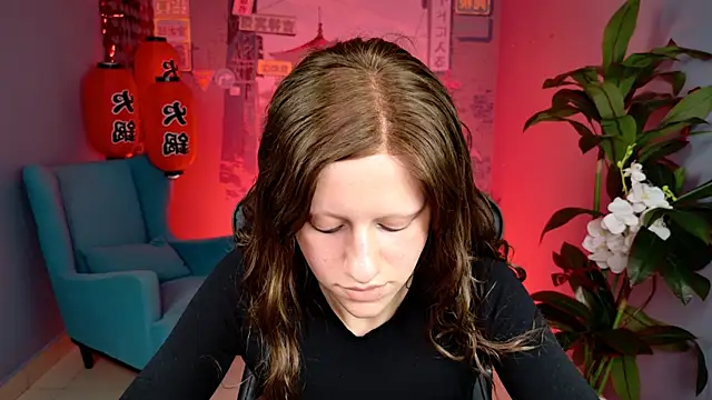 LidaDarknet webcam