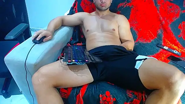 hugo_19cm webcam