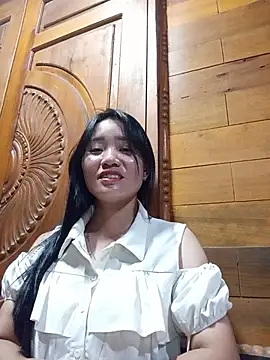 Td3di webcam