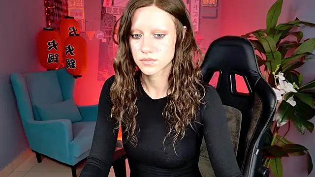 LidaDarknet webcam
