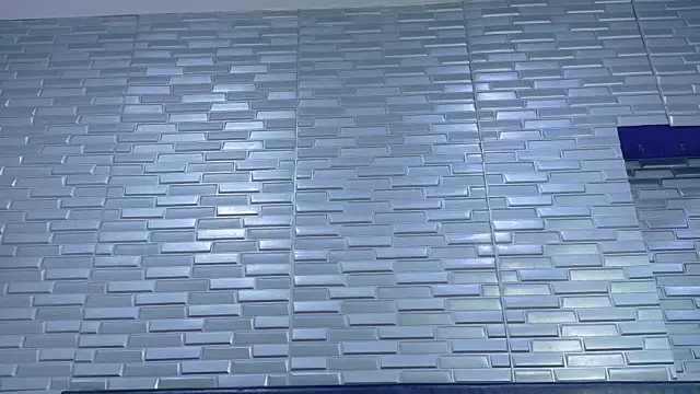 SeraphynLuxora webcam
