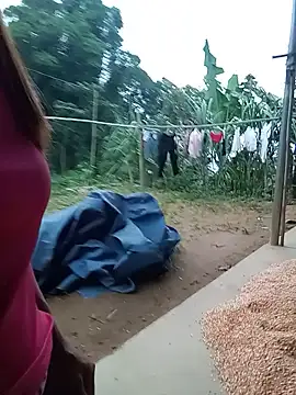gogo-min webcam