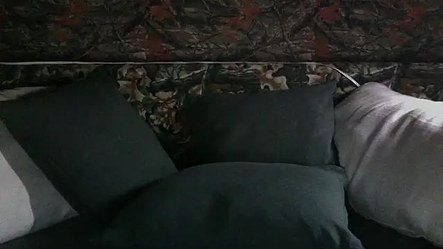 lockjaw711 webcam