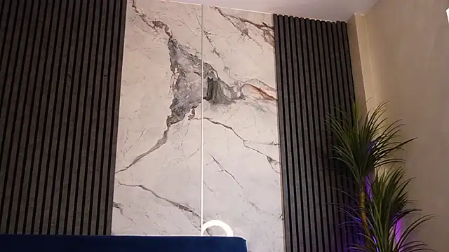 AryaGold webcam