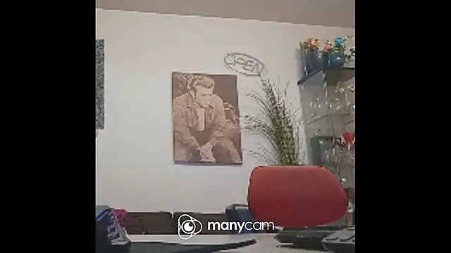 der_dino30 webcam