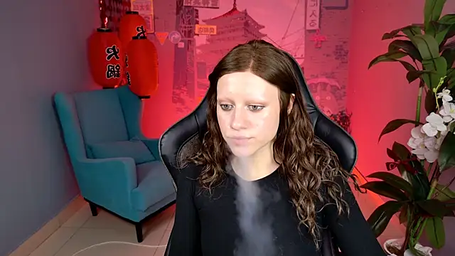 LidaDarknet webcam