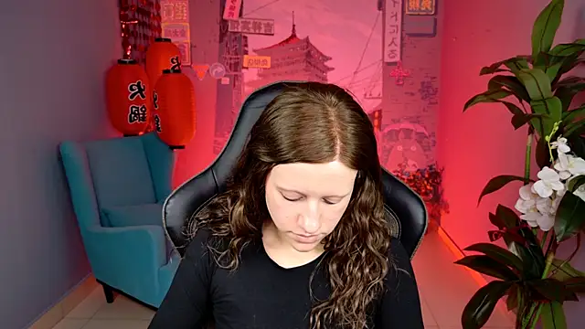 LidaDarknet webcam