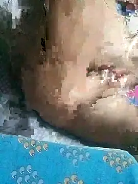 8414033011_wpp webcam