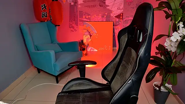 LidaDarknet webcam