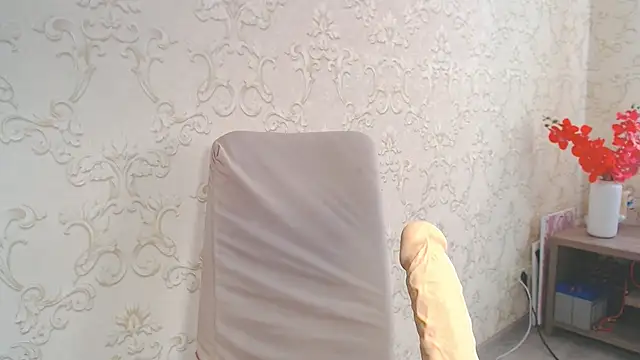 DolphinDreams webcam