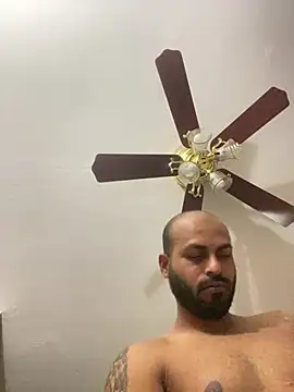 islandvybee55 - Islandvybee55's free webcam - UK Sex Cams