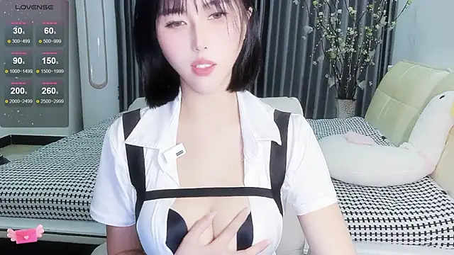 Lda- webcam