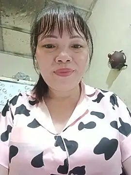 Sana-vn webcam